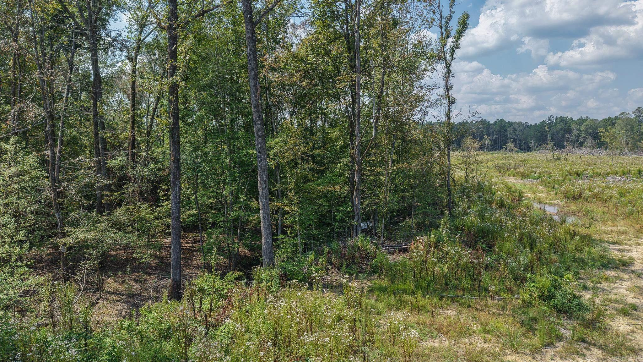 TBD Tram Rd  Horatio, AR