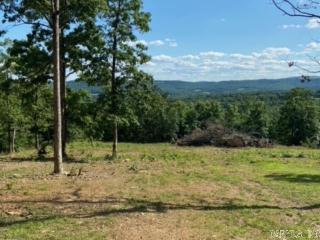 291 Wildwood Lane  Marshall, AR