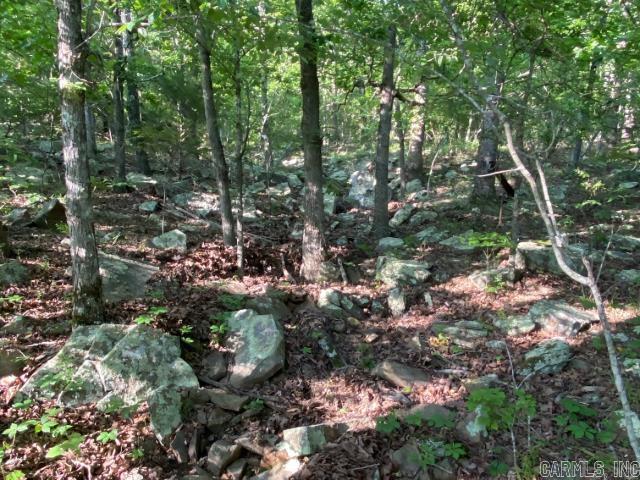 291 Wildwood Lane  Marshall, AR