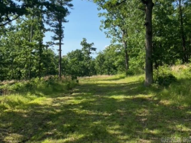 291 Wildwood Lane  Marshall, AR