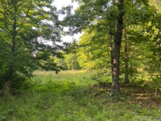 291 Wildwood Lane  Marshall, AR