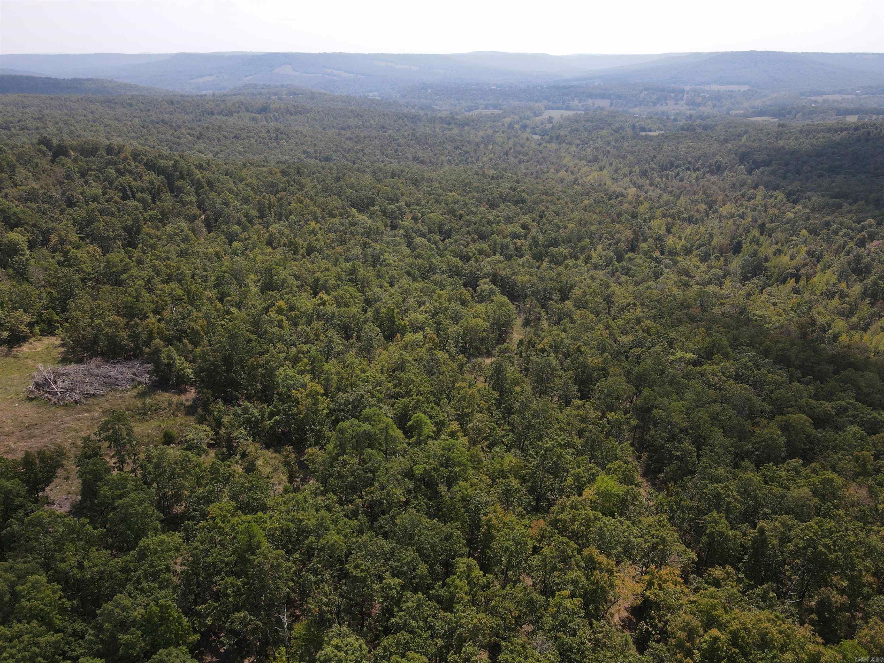 291 Wildwood Lane  Marshall, AR