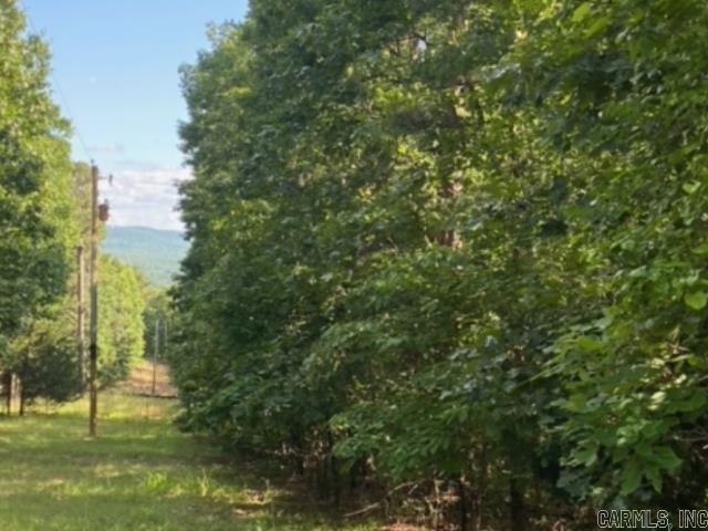 291 Wildwood Lane  Marshall, AR