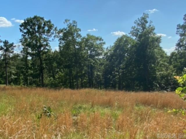 291 Wildwood Lane  Marshall, AR
