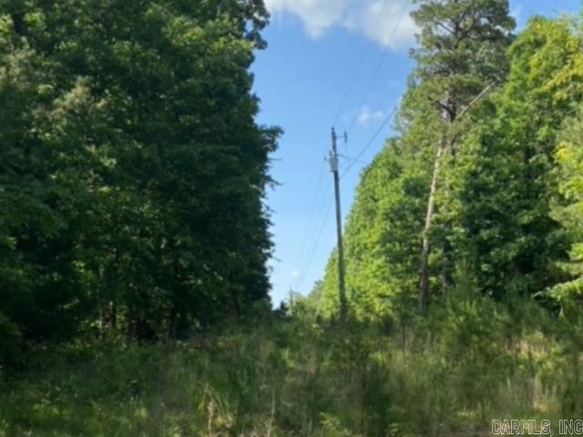 291 Wildwood Lane  Marshall, AR