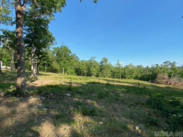 291 Wildwood Lane  Marshall, AR