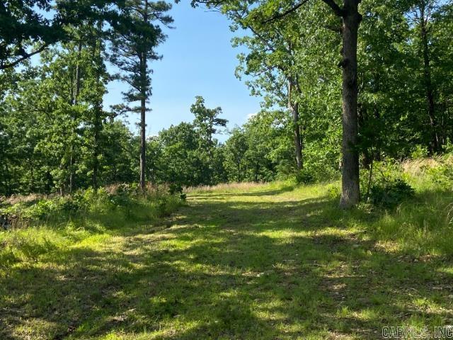 291 Wildwood Lane  Marshall, AR