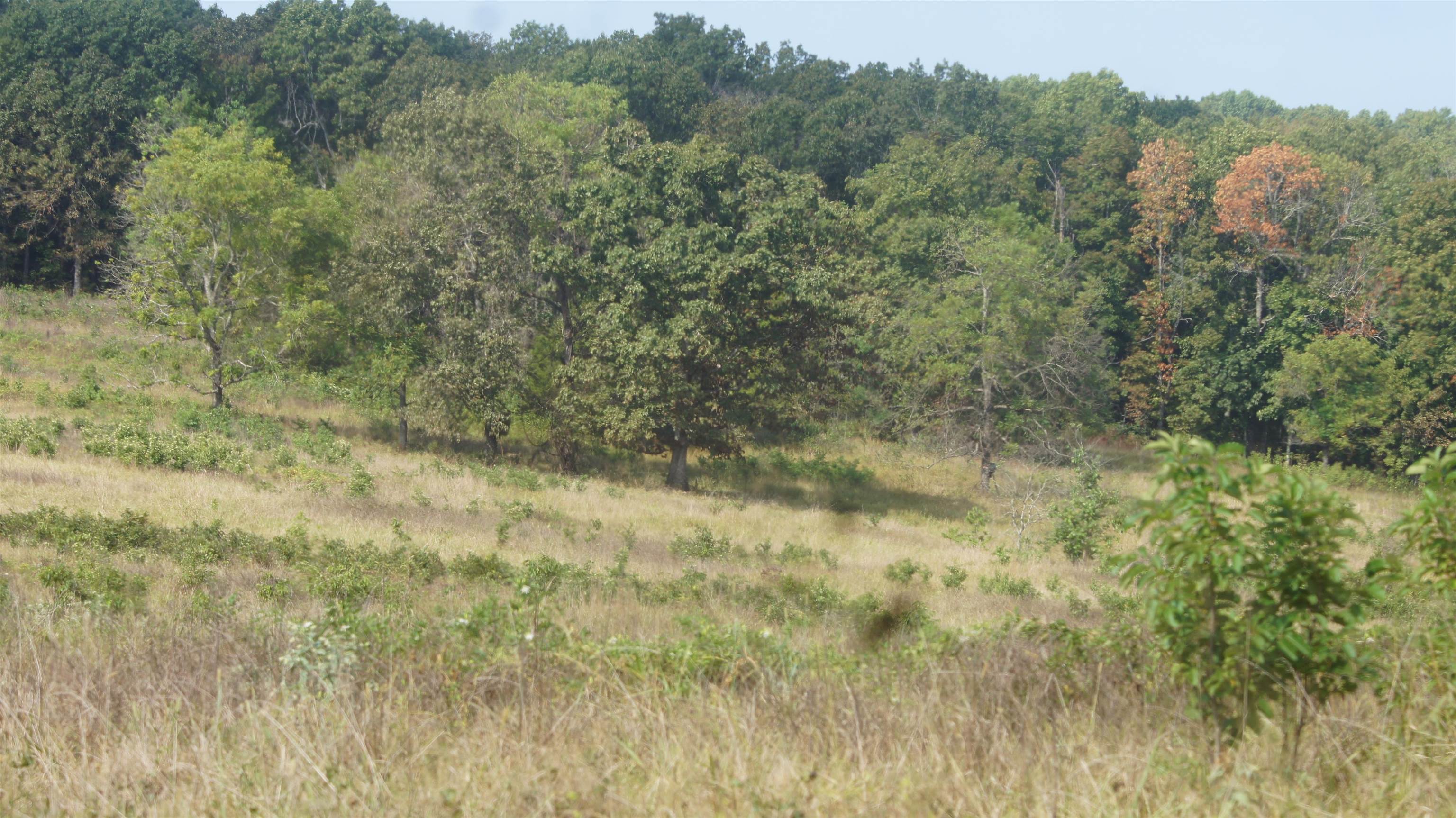 TBD E Campground Road  Ash Flat, AR