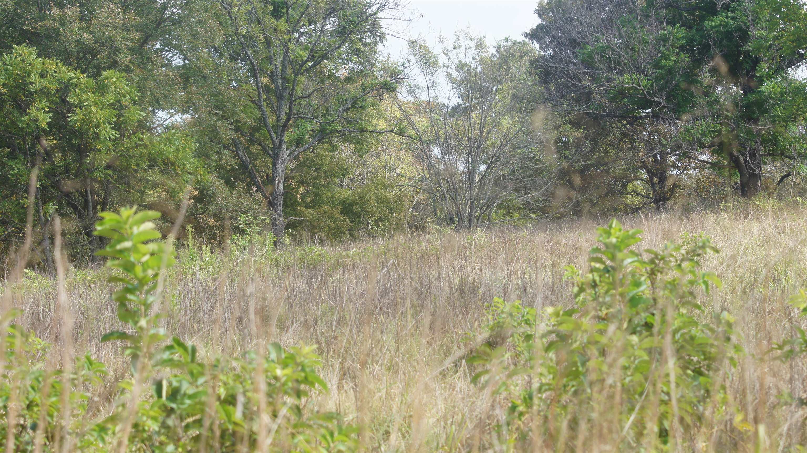 TBD E Campground Road  Ash Flat, AR