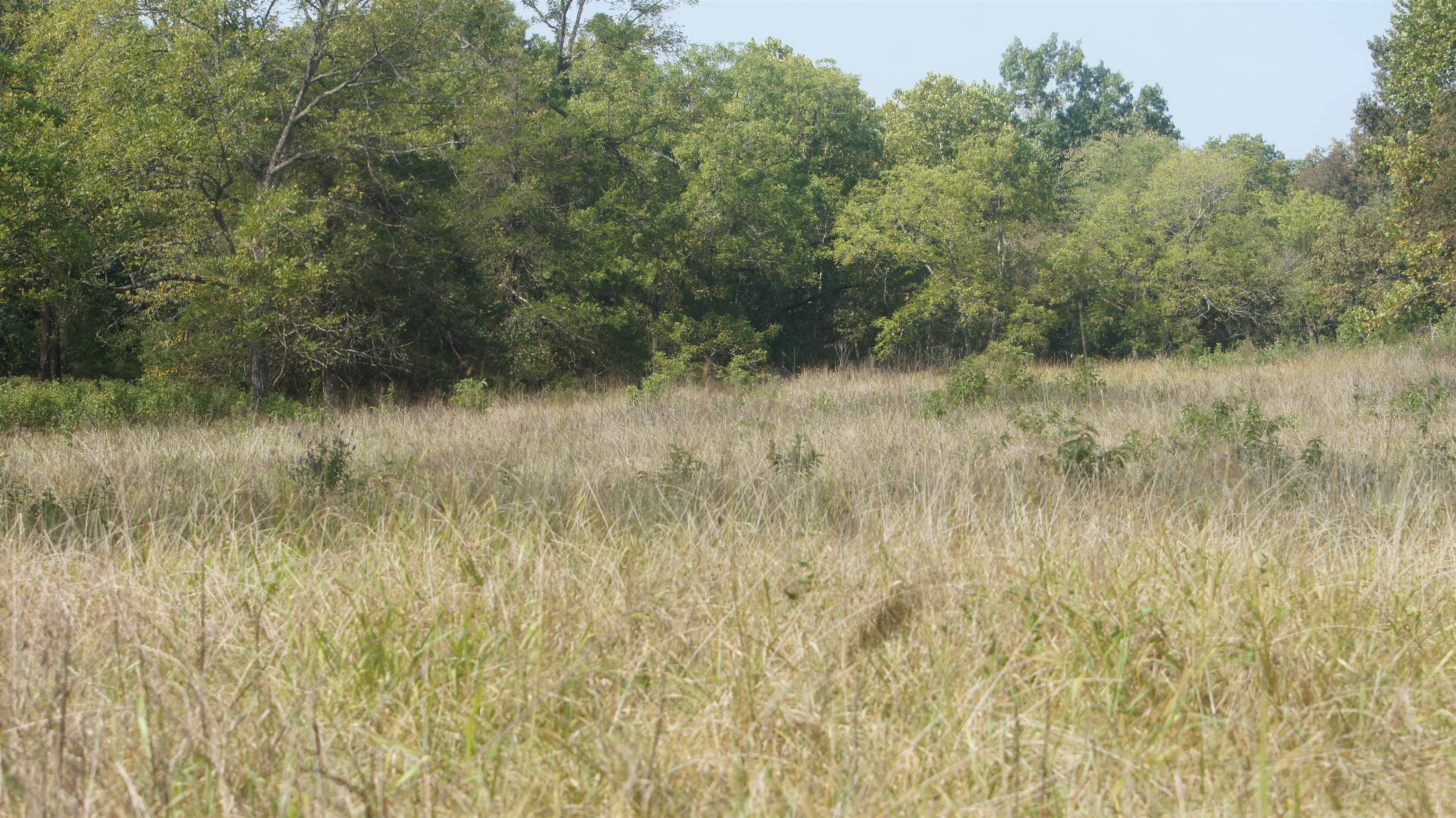 TBD E Campground Road  Ash Flat, AR