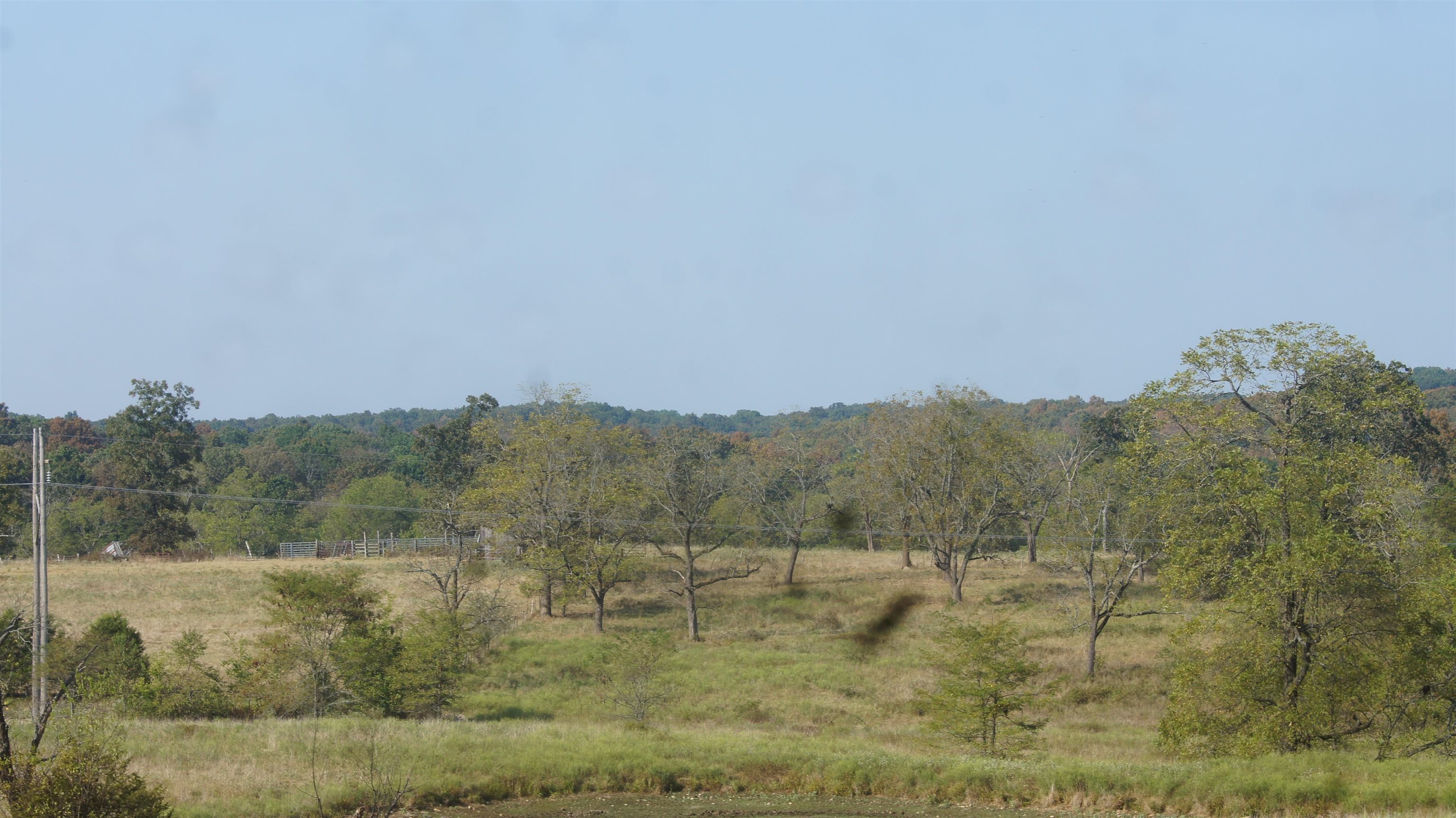 TBD E Campground Road  Ash Flat, AR