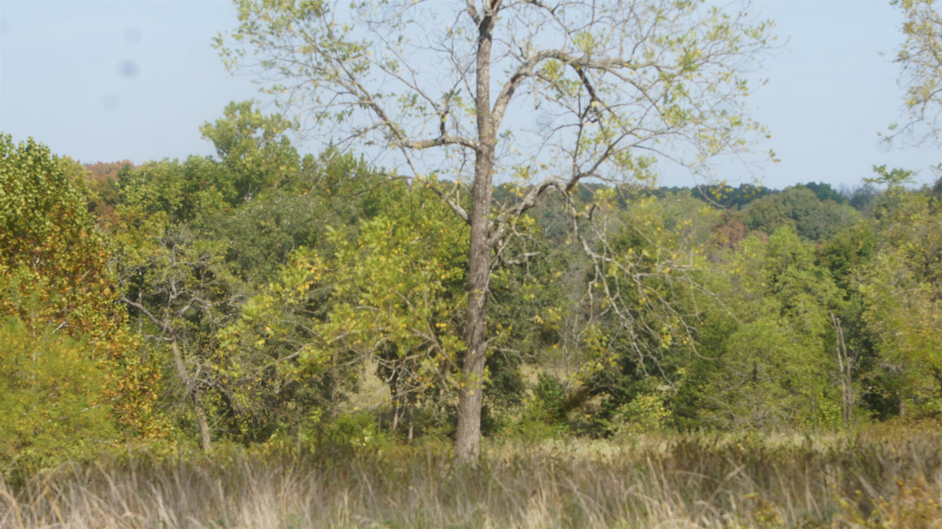 TBD E Campground Road  Ash Flat, AR