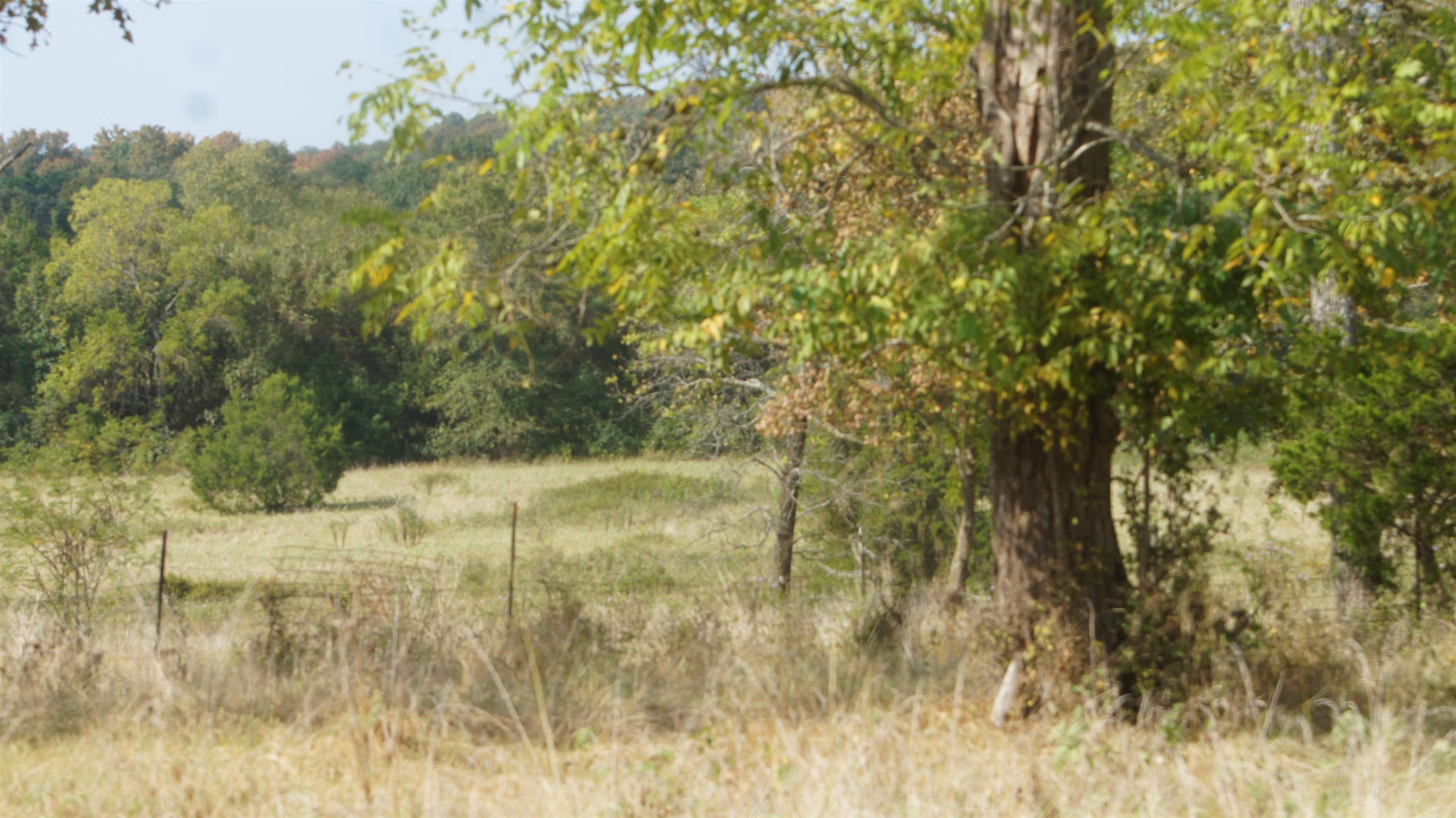 TBD E Campground Road  Ash Flat, AR