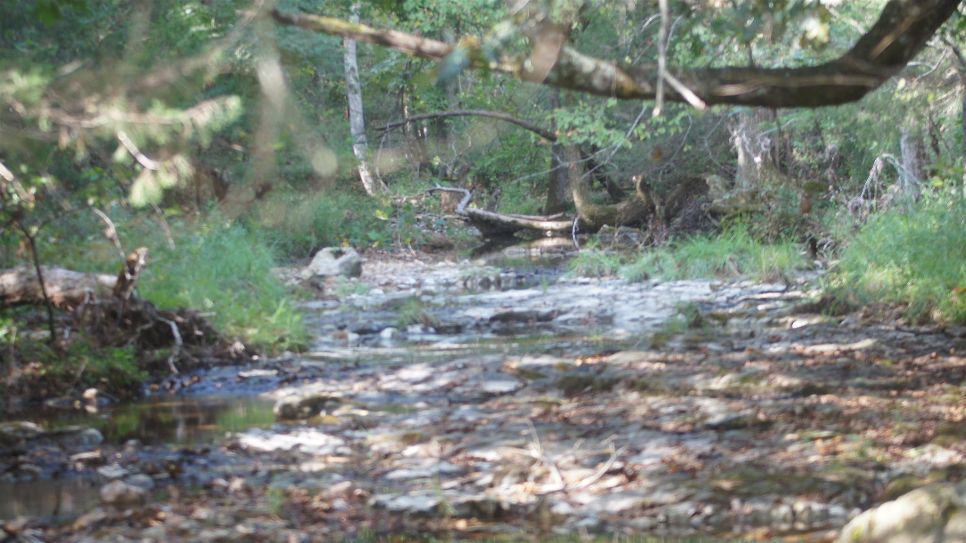 TBD E Campground Road  Ash Flat, AR