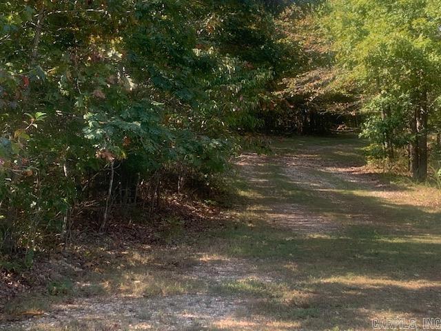 304 Tater Knob  Yellville, AR