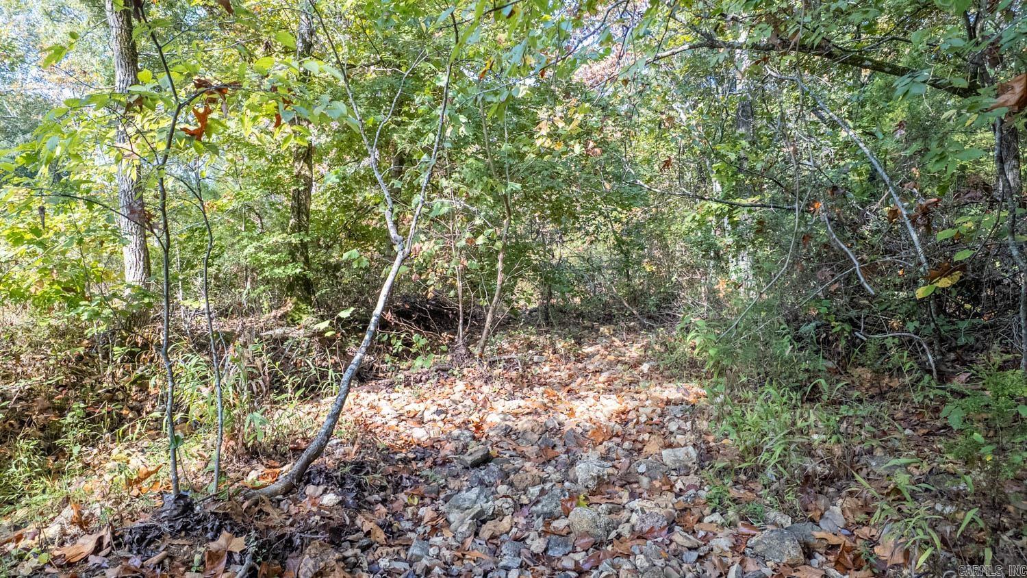 11748 Highway 63 South  Hardy, AR