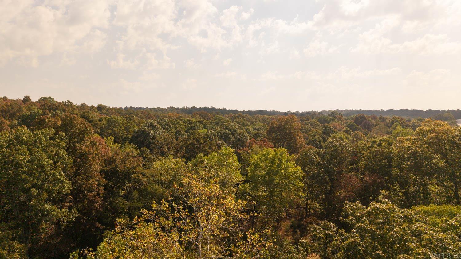 11748 Highway 63 South  Hardy, AR