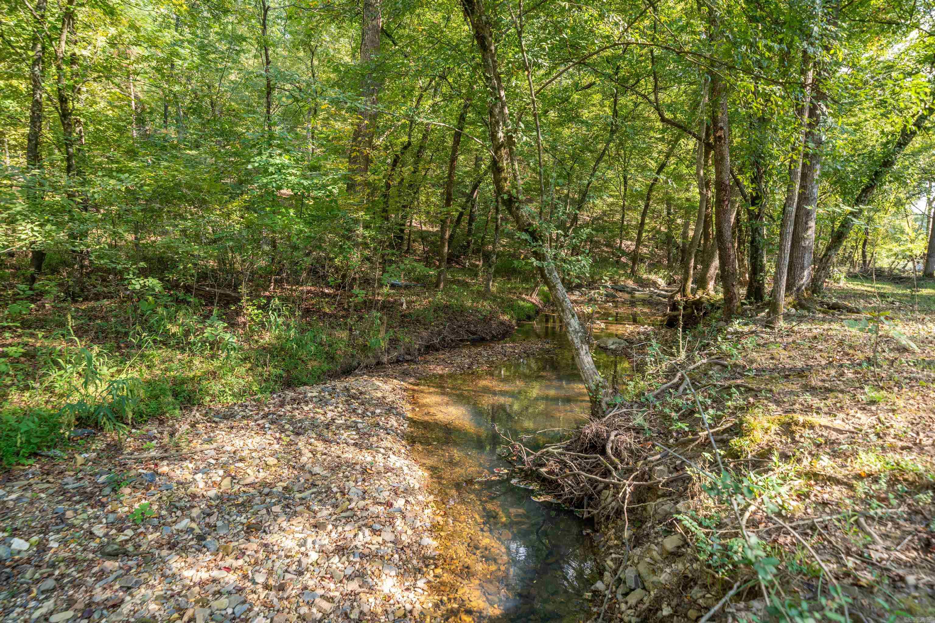 129 Windsong Bay  Hot Springs, AR