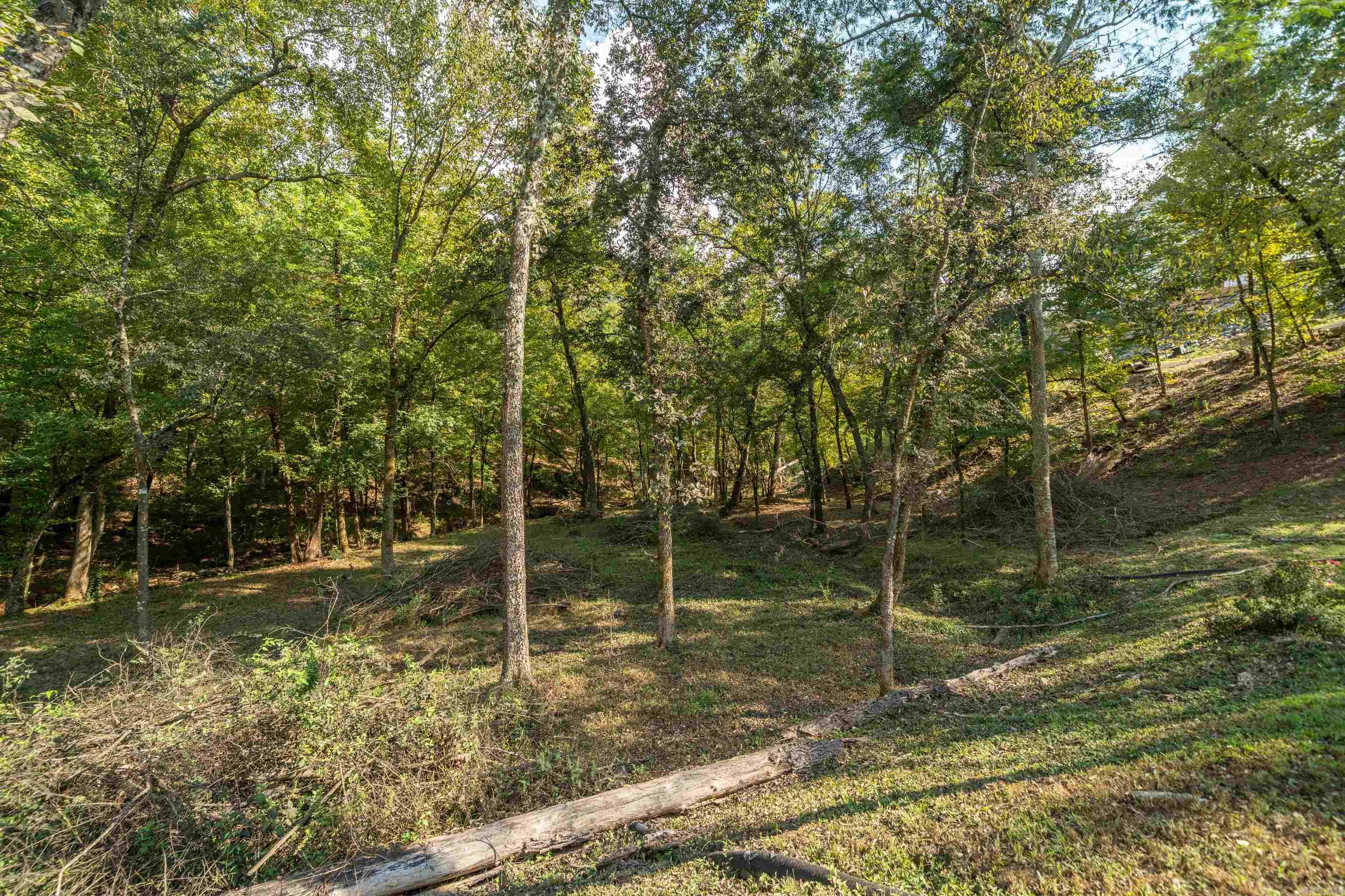 129 Windsong Bay  Hot Springs, AR