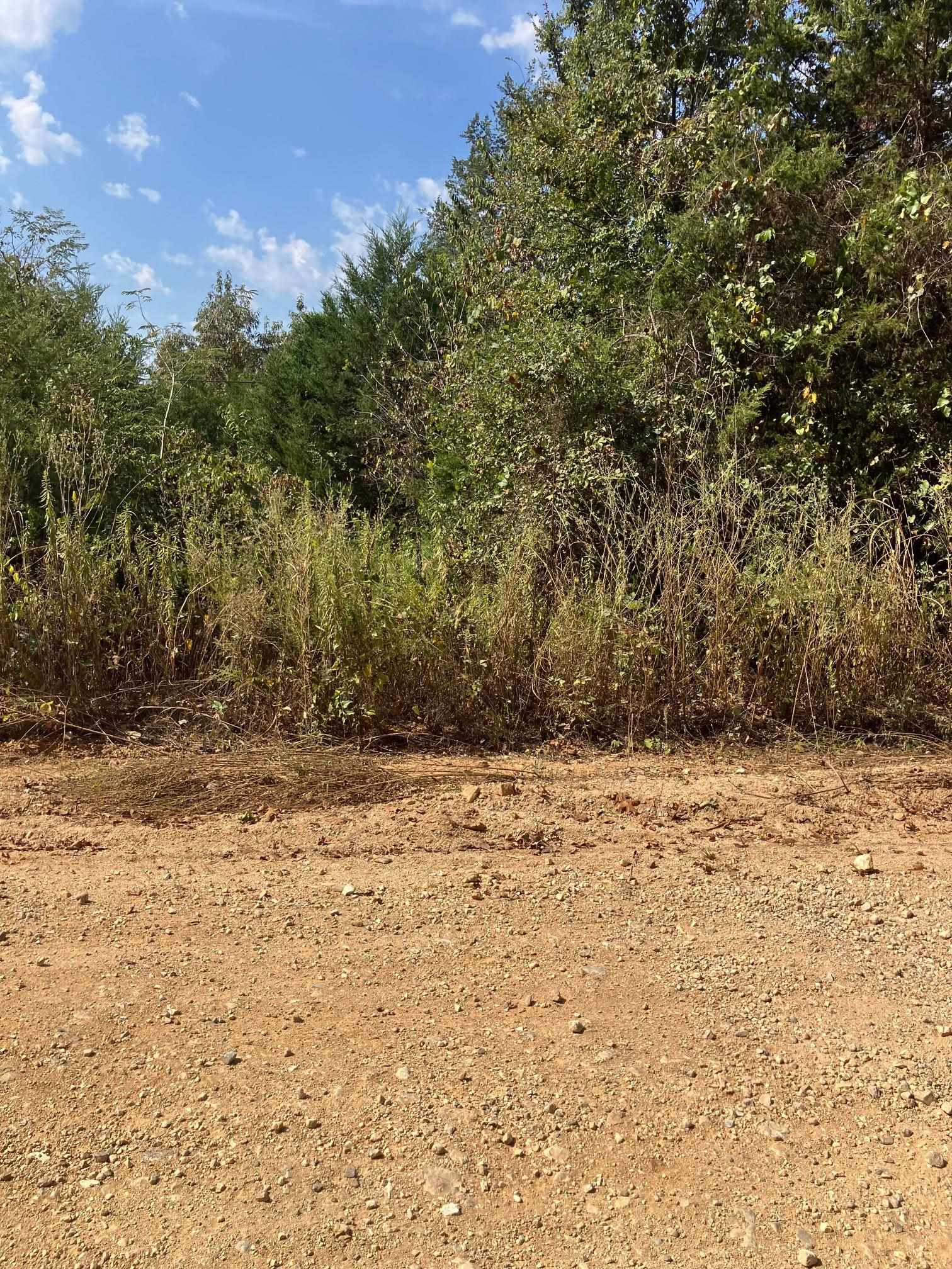 TBD N Wilson Wells Road  Poughkeepsie, AR
