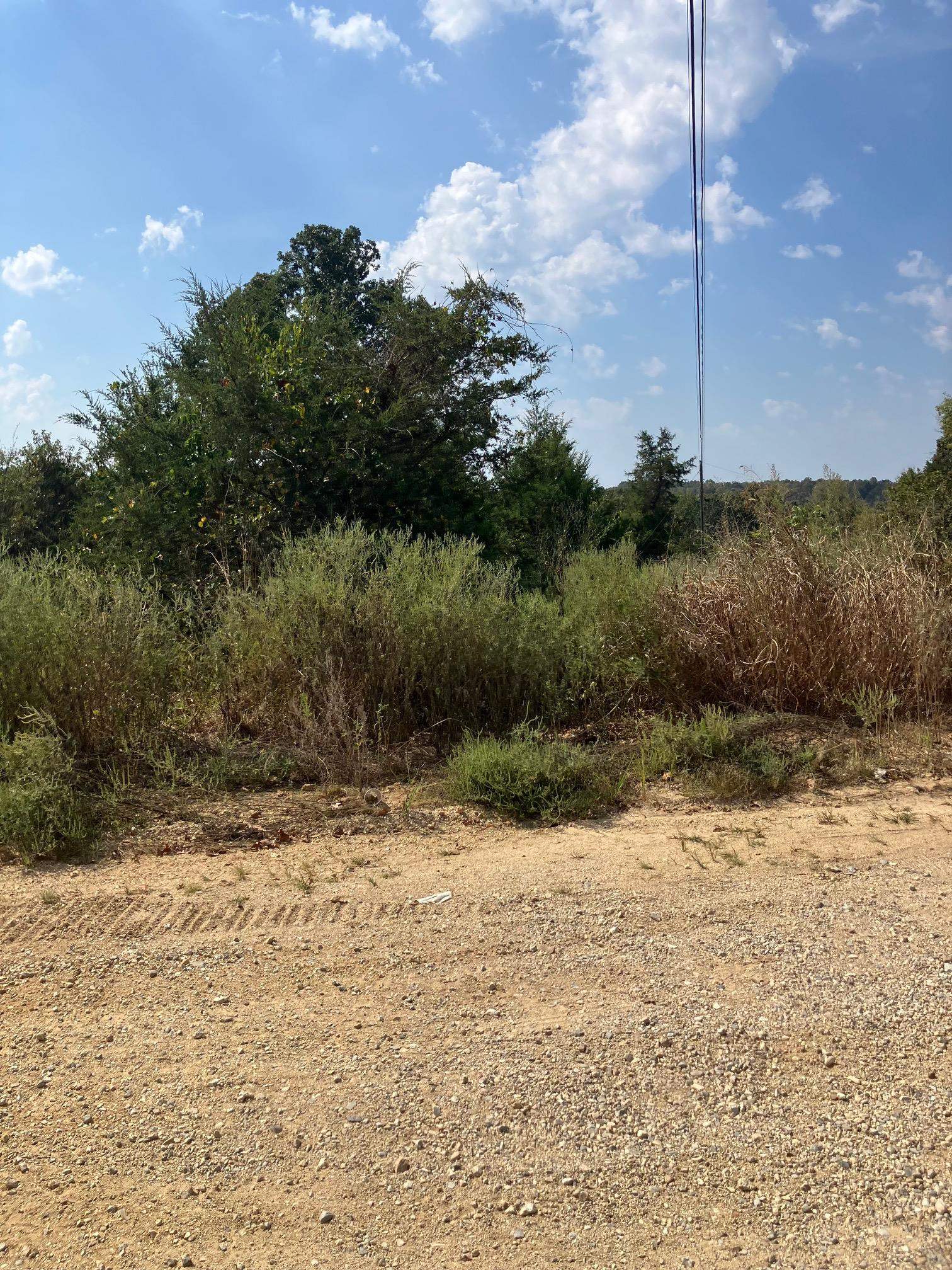 TBD N Wilson Wells Road  Poughkeepsie, AR