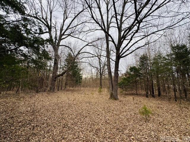 000 CR 1121  Mountain Home, AR