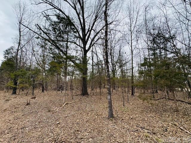 000 CR 1121  Mountain Home, AR