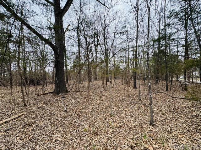 000 CR 1121  Mountain Home, AR