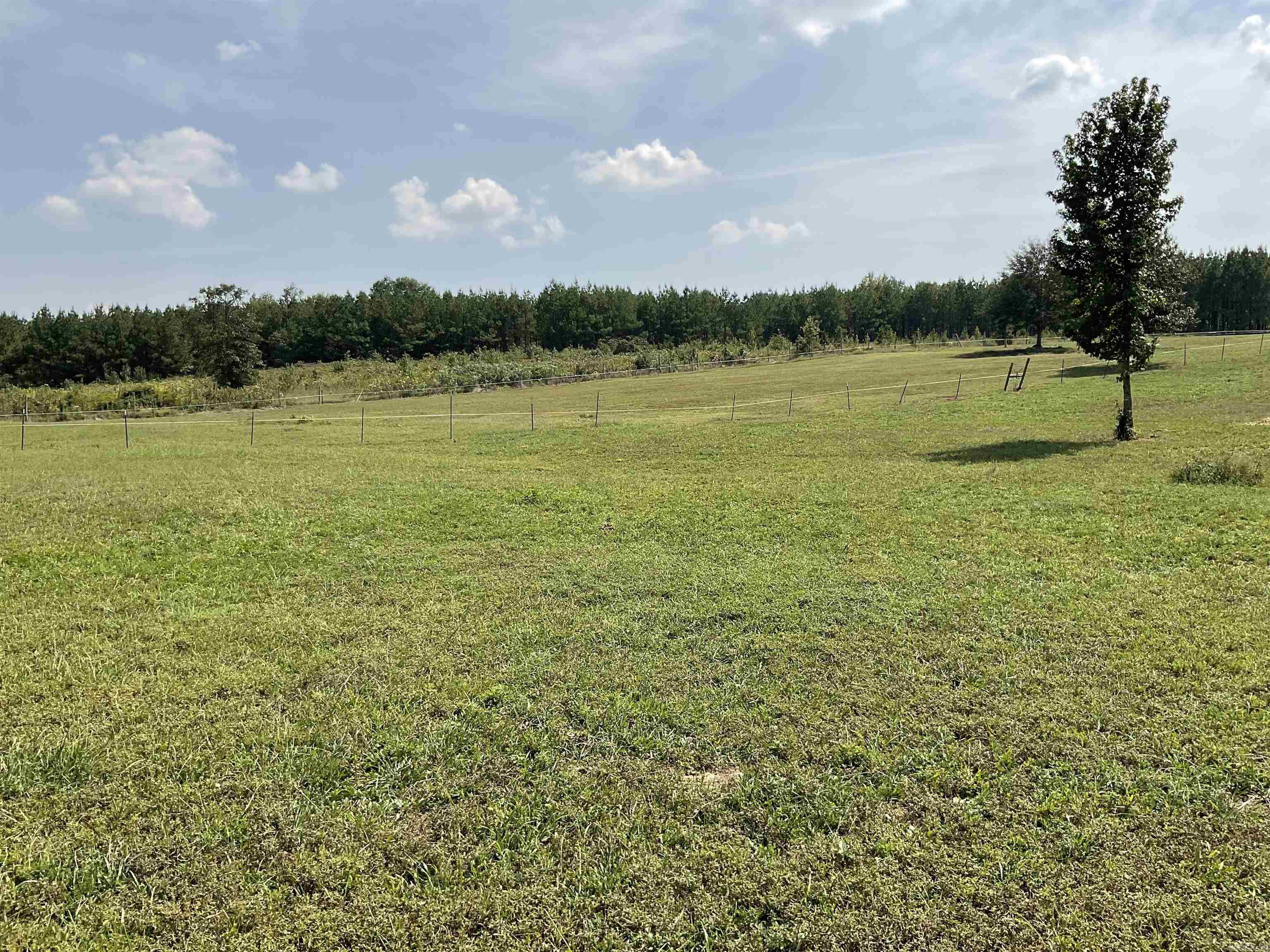 336 Quarry Rd  Scotland, AR