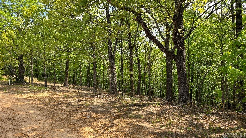 21000 Distress Creek  Harrisburg, AR