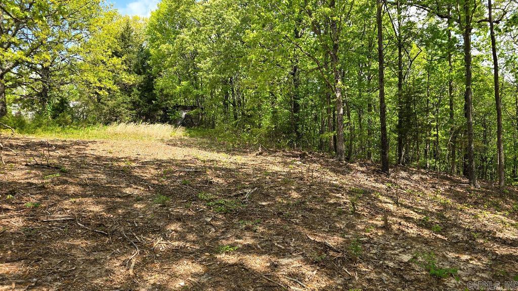 21000 Distress Creek  Harrisburg, AR