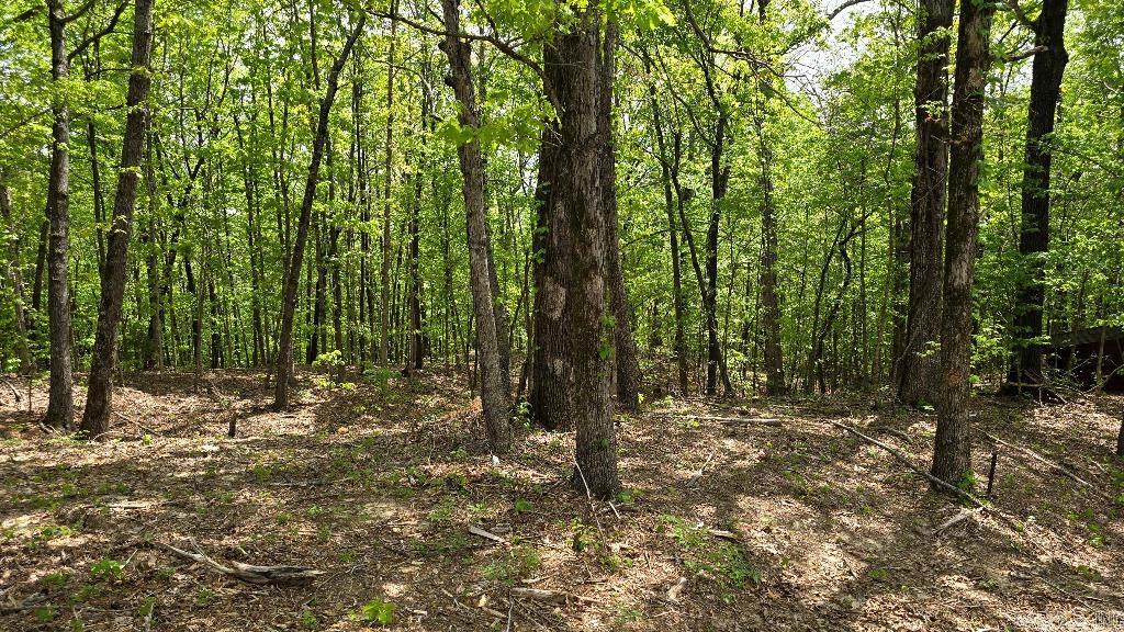 21000 Distress Creek  Harrisburg, AR