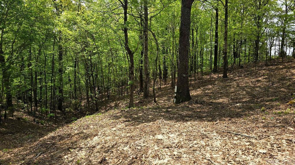 21000 Distress Creek  Harrisburg, AR