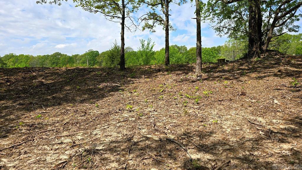 21000 Distress Creek  Harrisburg, AR