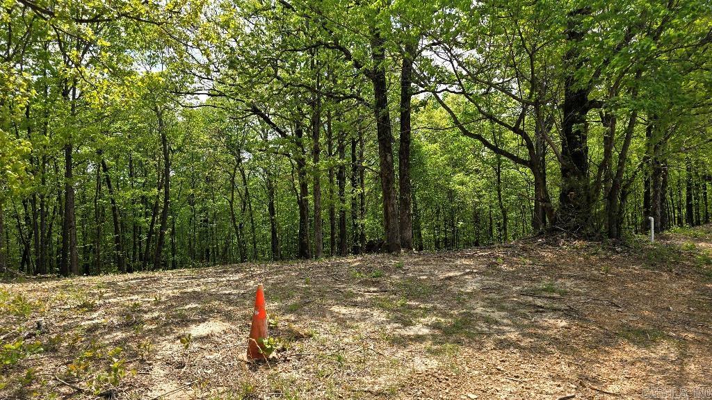 21000 Distress Creek  Harrisburg, AR