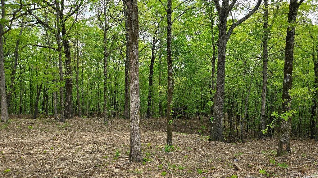 21000 Distress Creek  Harrisburg, AR