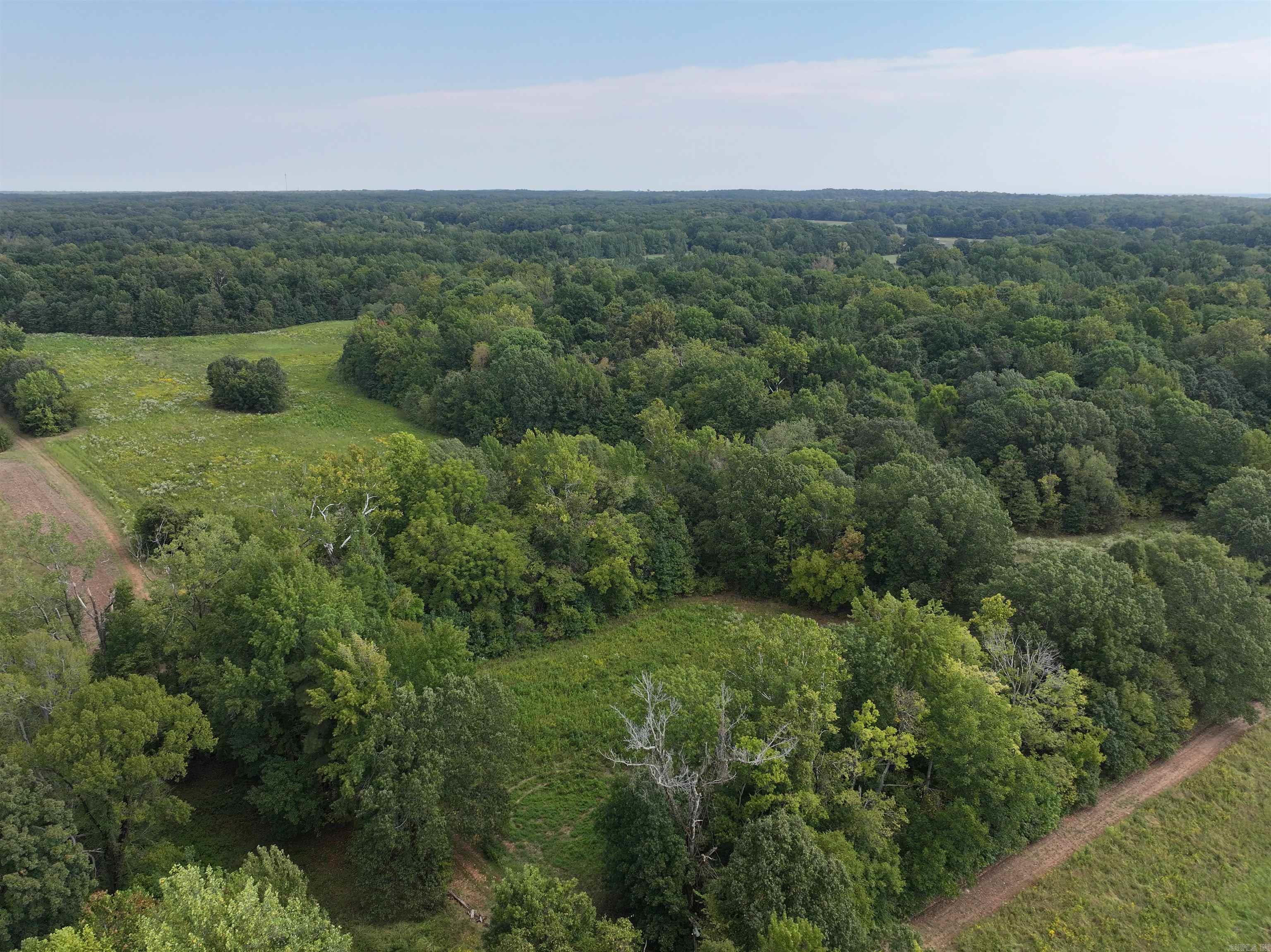 58 Ellen Peeler  Wynne, AR