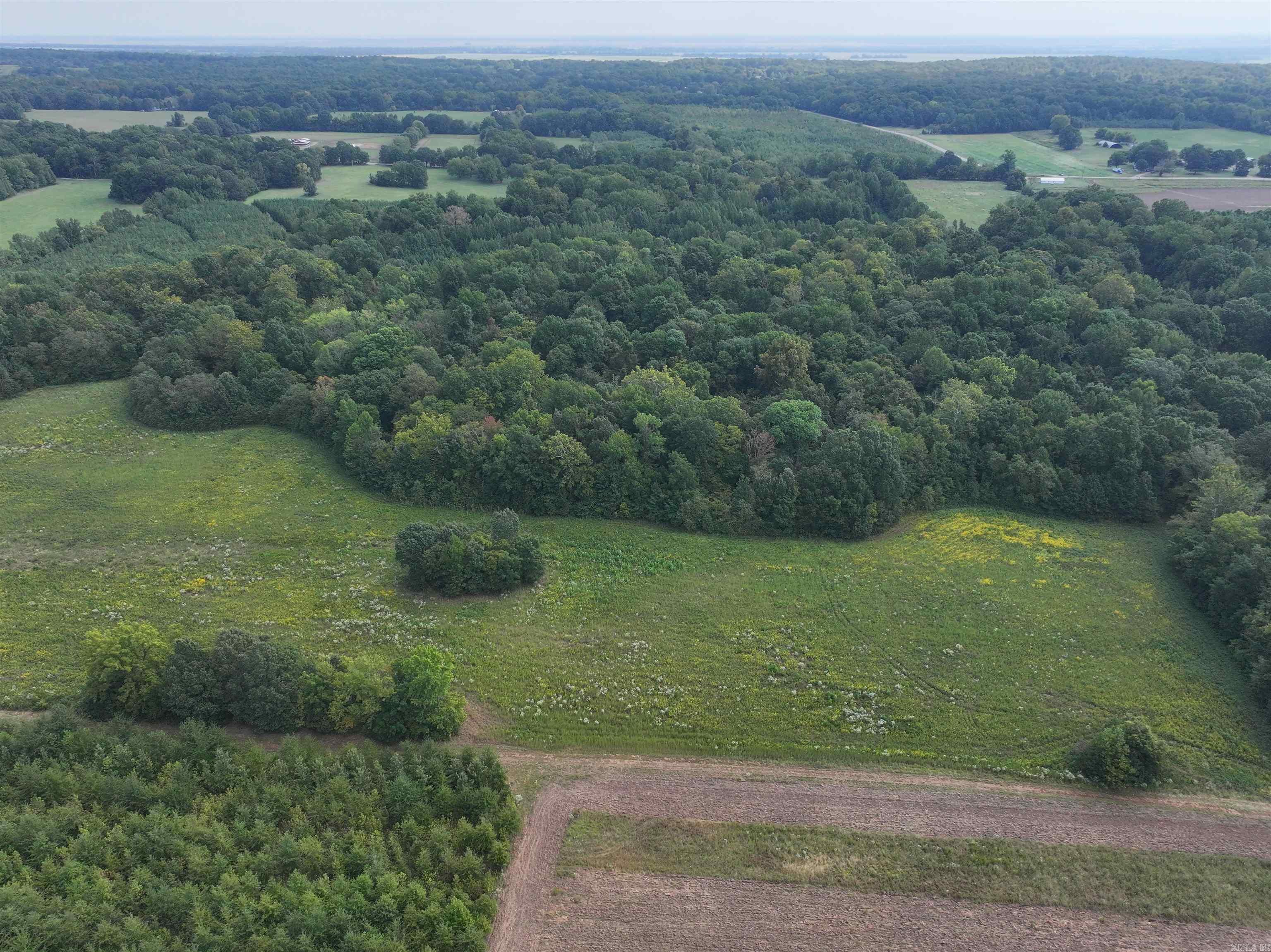 58 Ellen Peeler  Wynne, AR