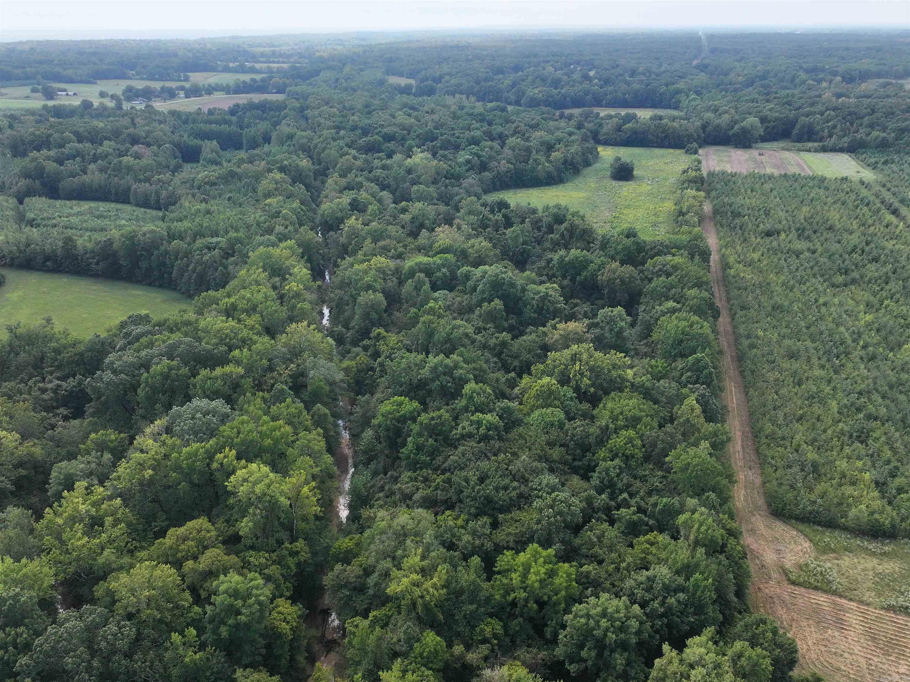 58 Ellen Peeler  Wynne, AR