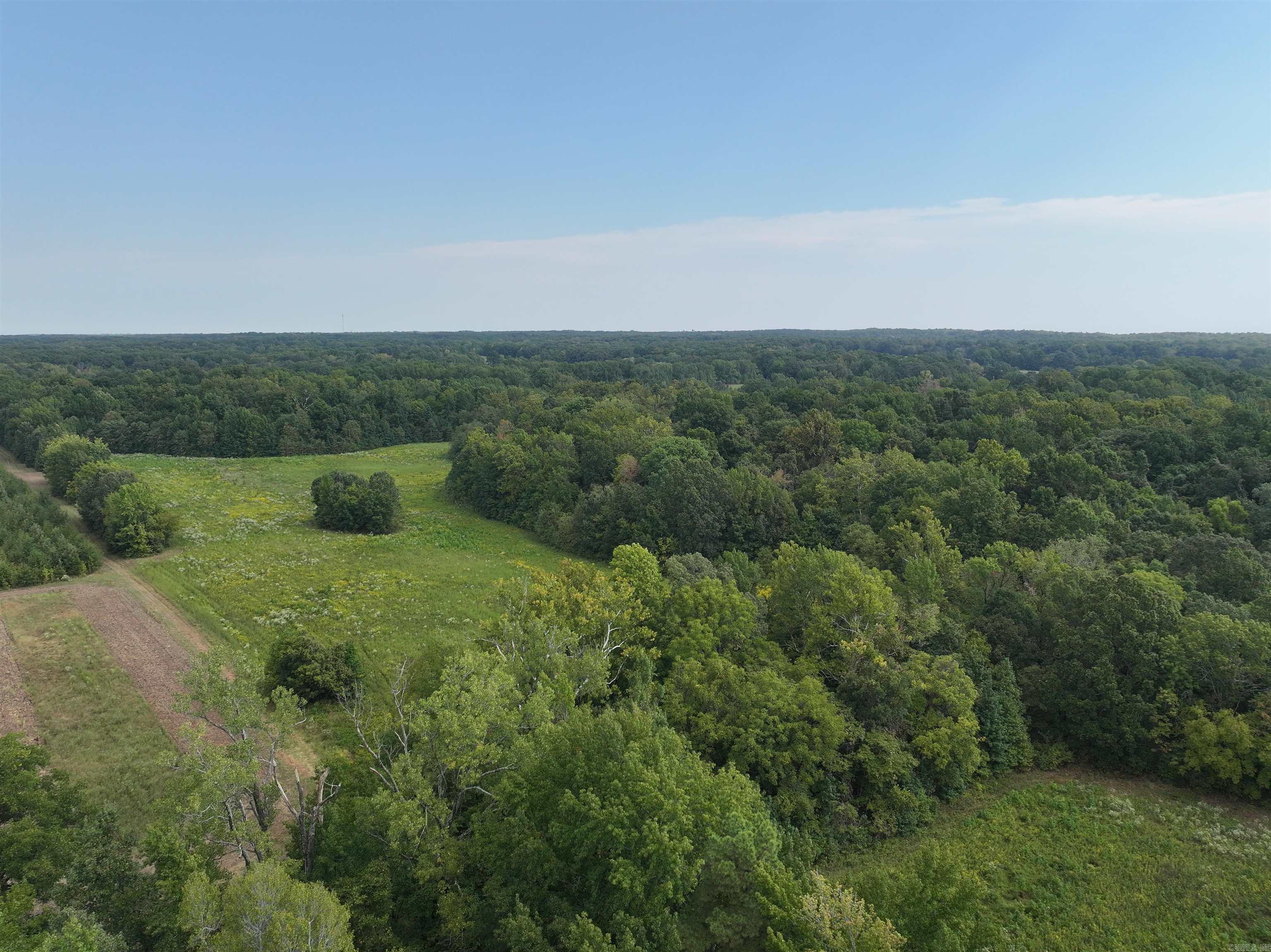 58 Ellen Peeler  Wynne, AR