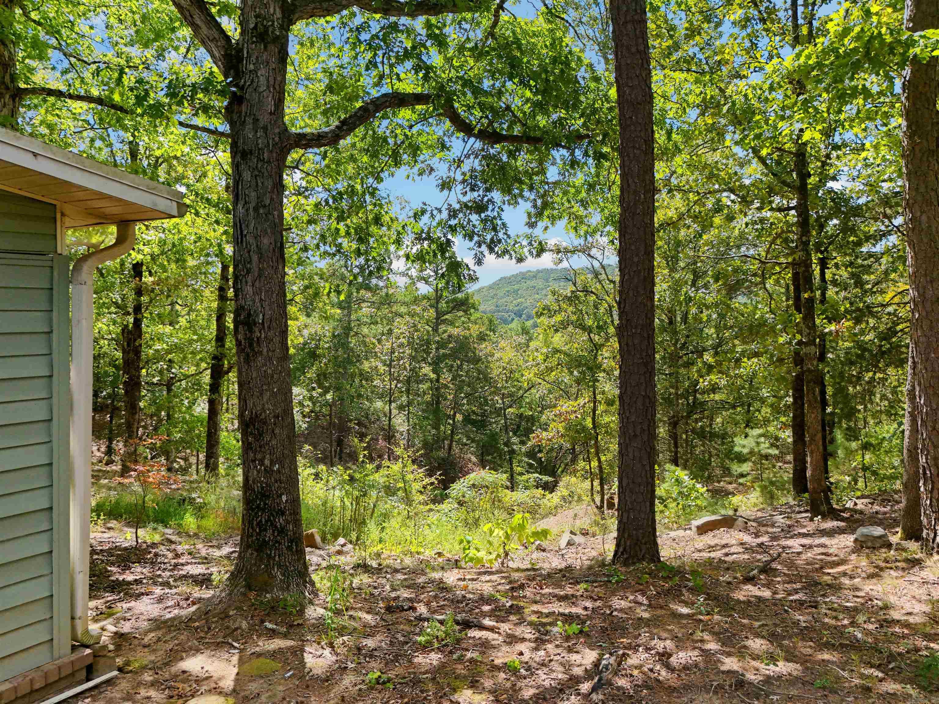 596 W Republican  Greenbrier, AR
