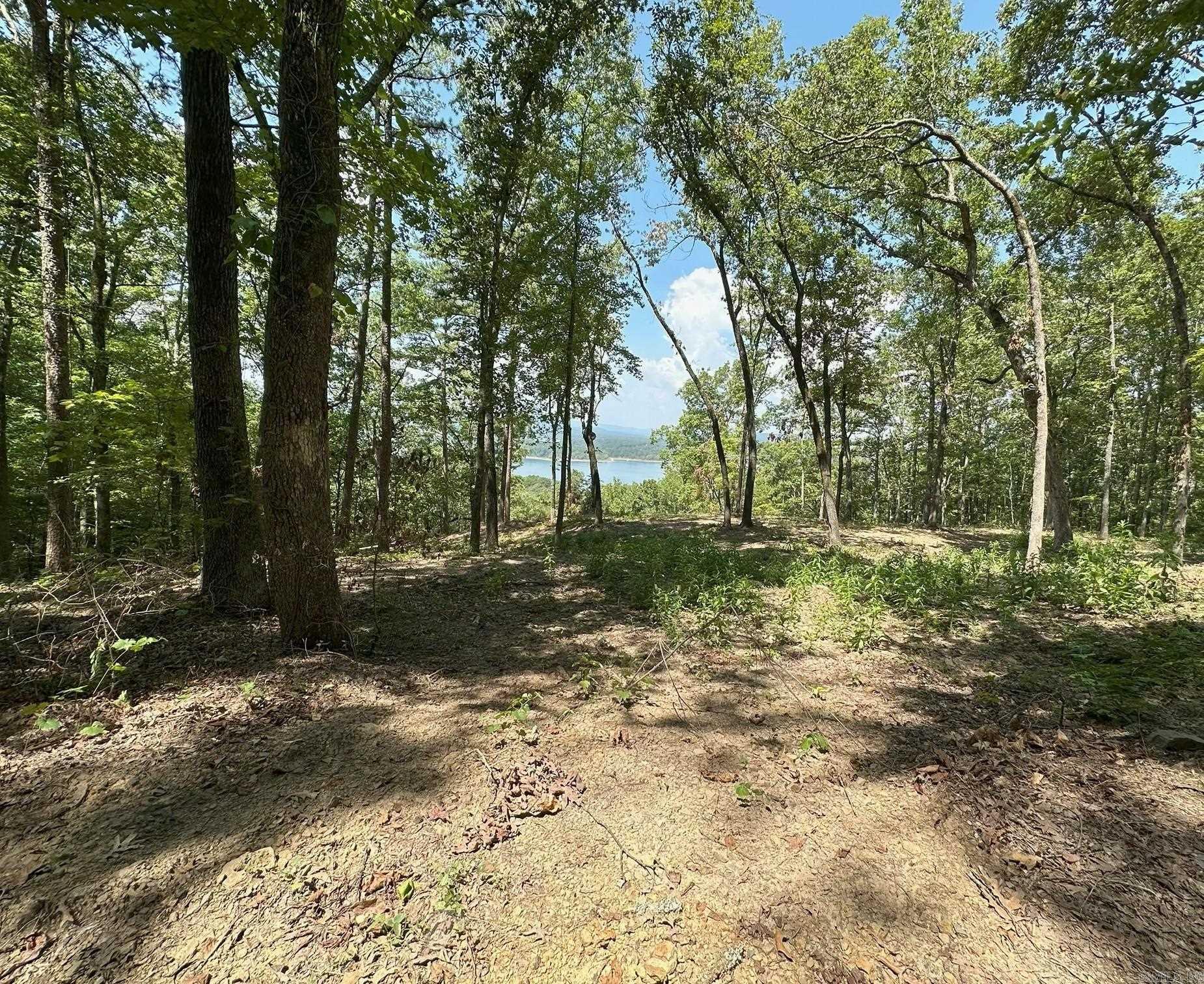 000 Palisades  Bee Branch, AR