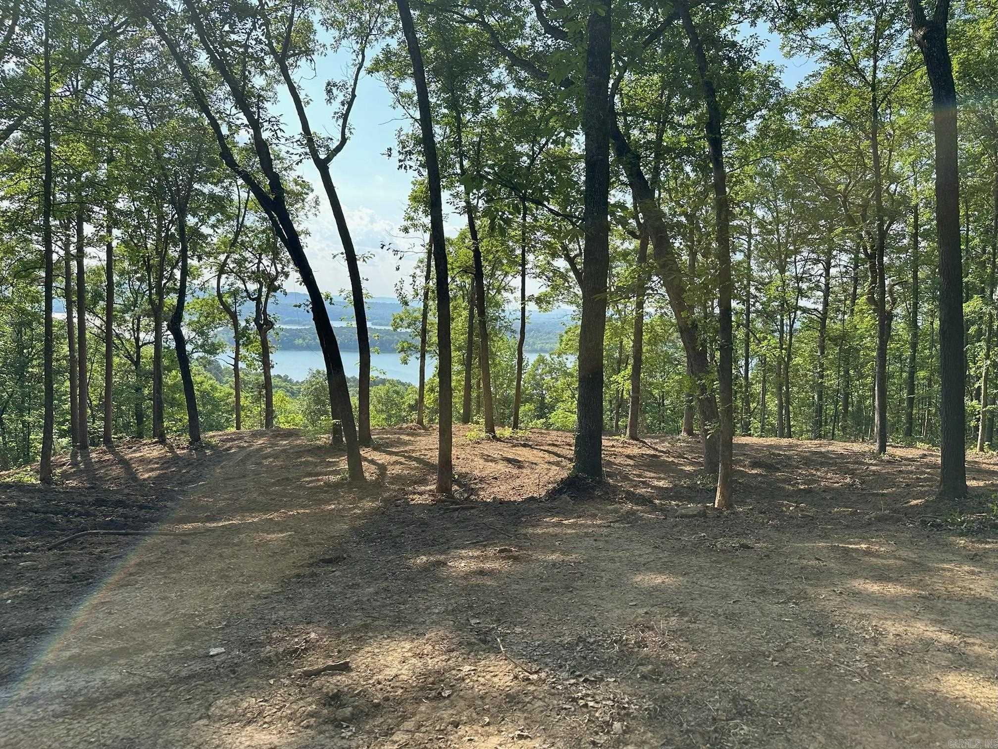000 Palisades  Bee Branch, AR
