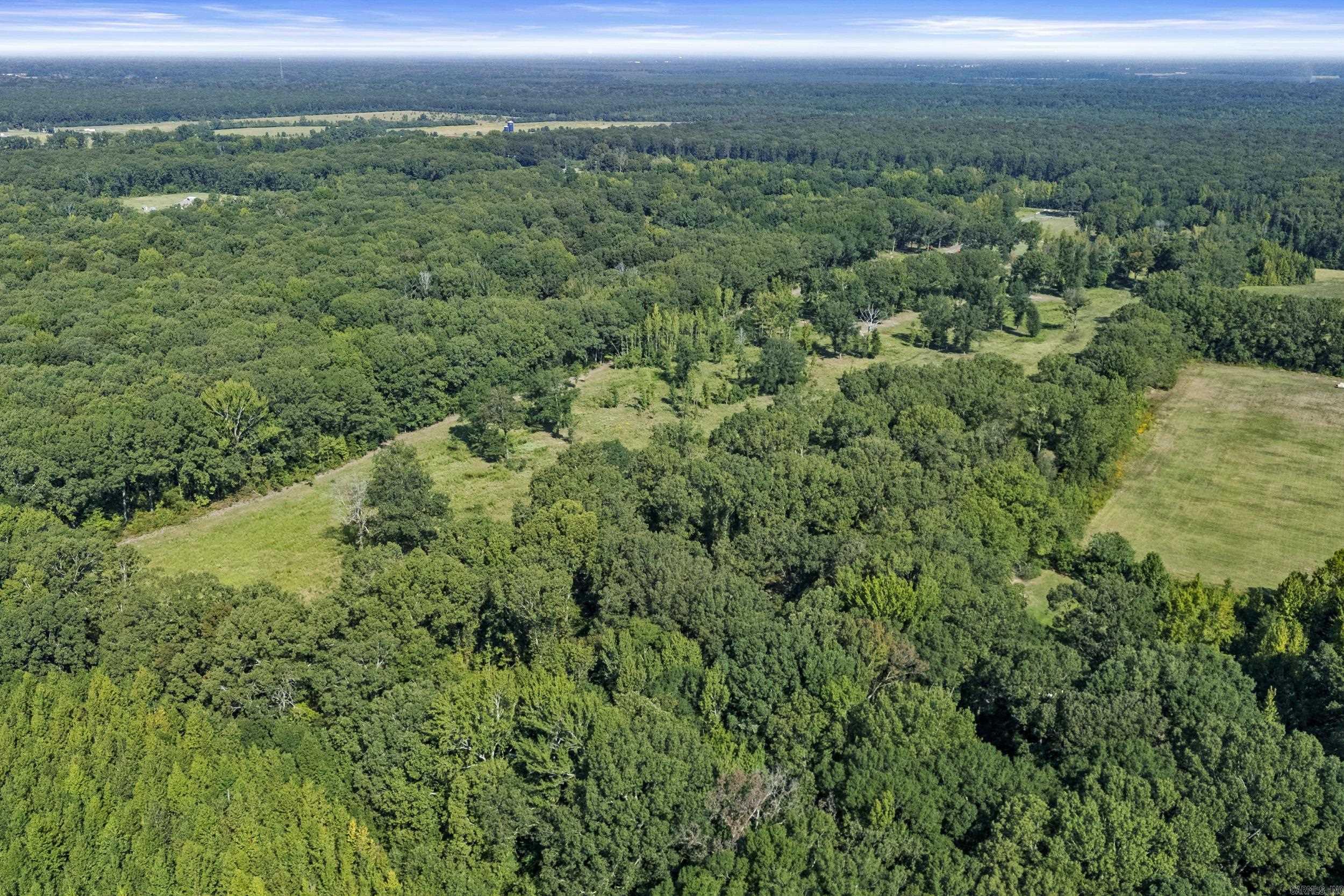 595 Charlie Olds  Ward, AR