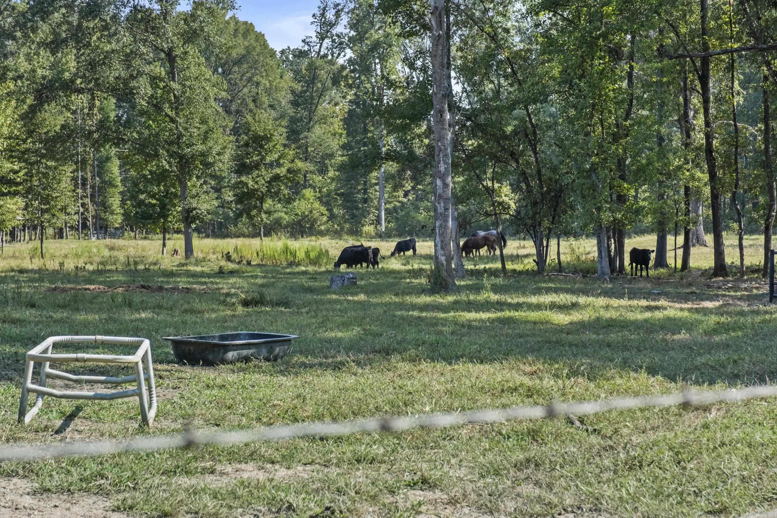 595 Charlie Olds  Ward, AR
