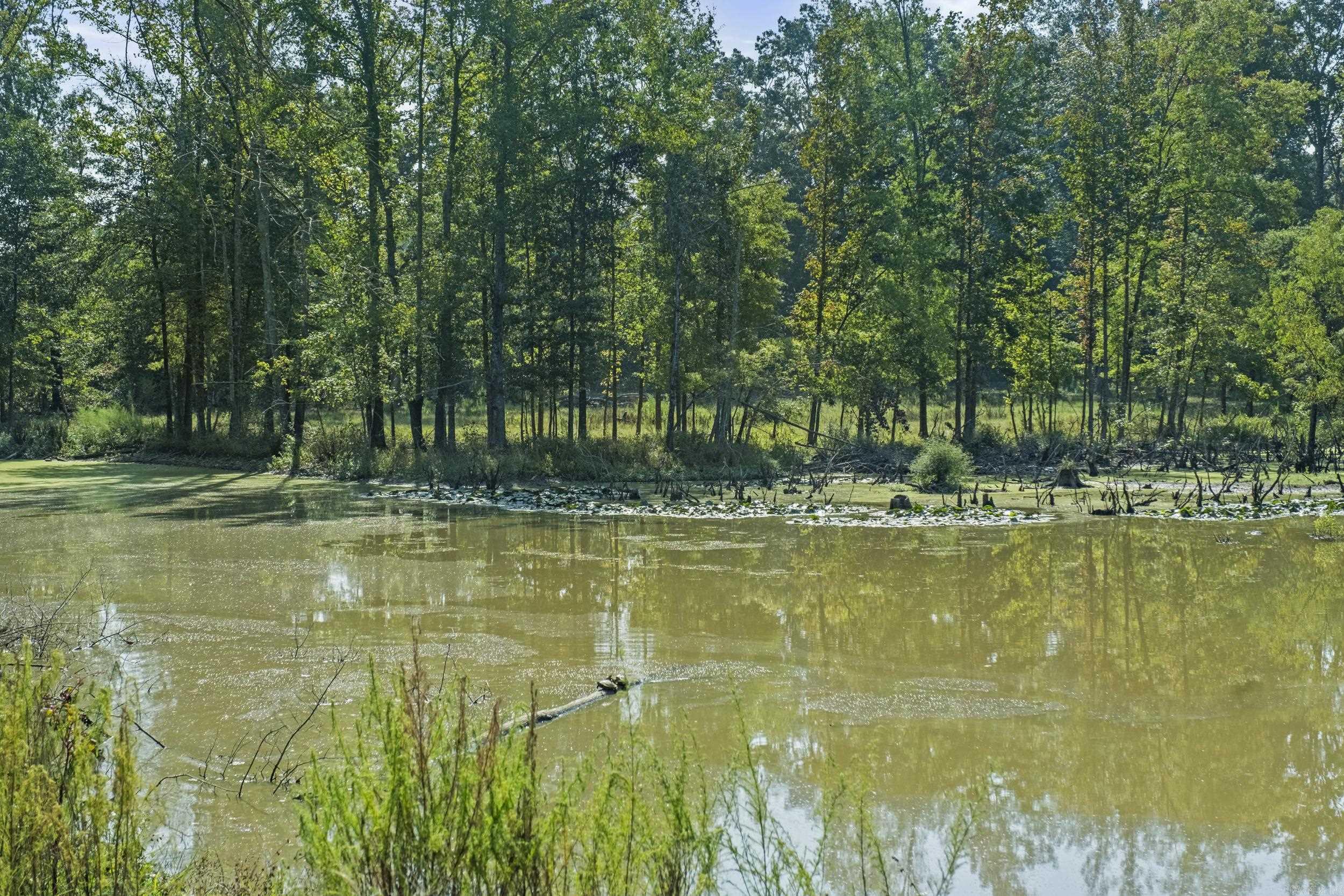 595 Charlie Olds  Ward, AR