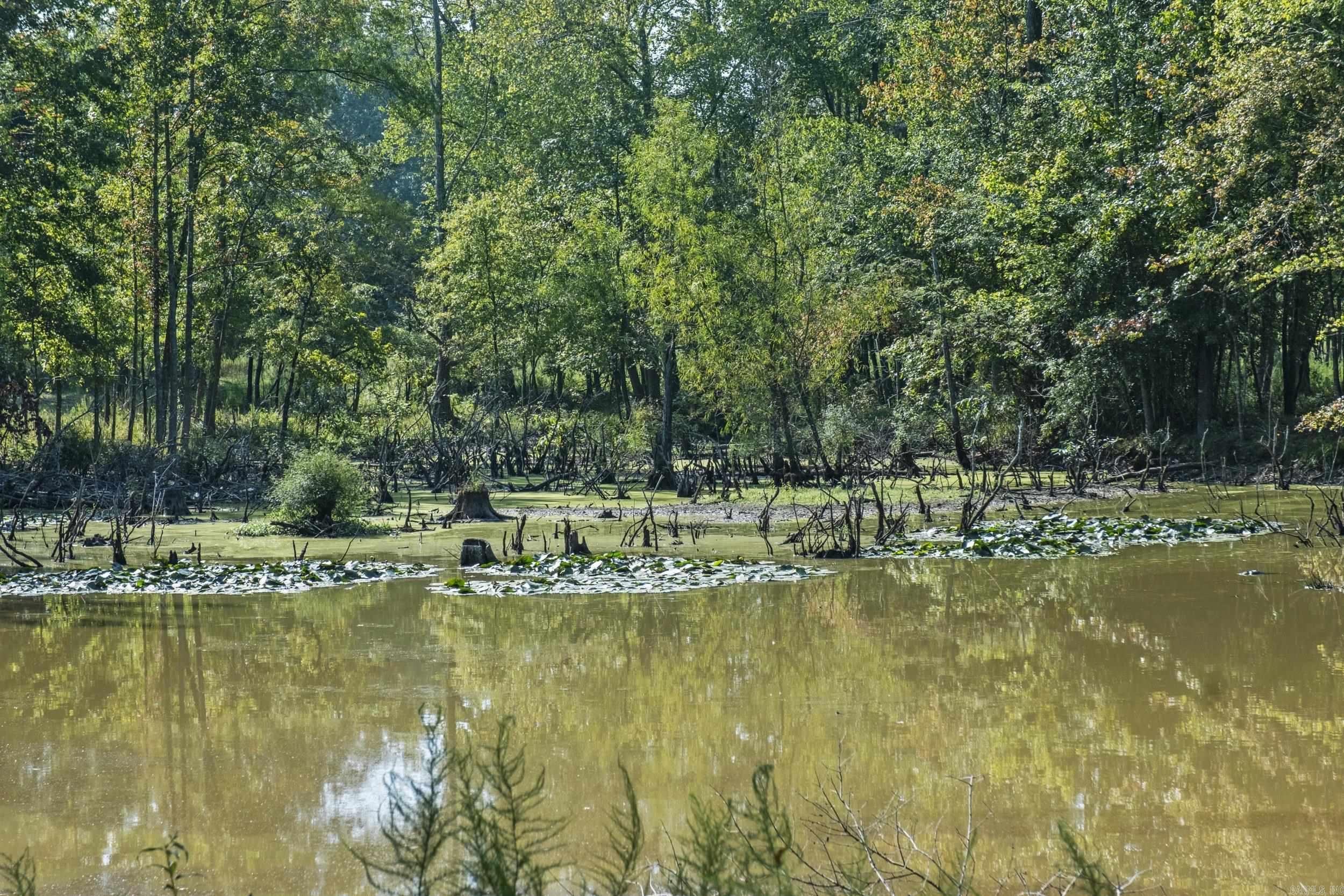 595 Charlie Olds  Ward, AR