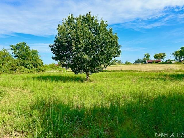 11099 14  Big Flat, AR