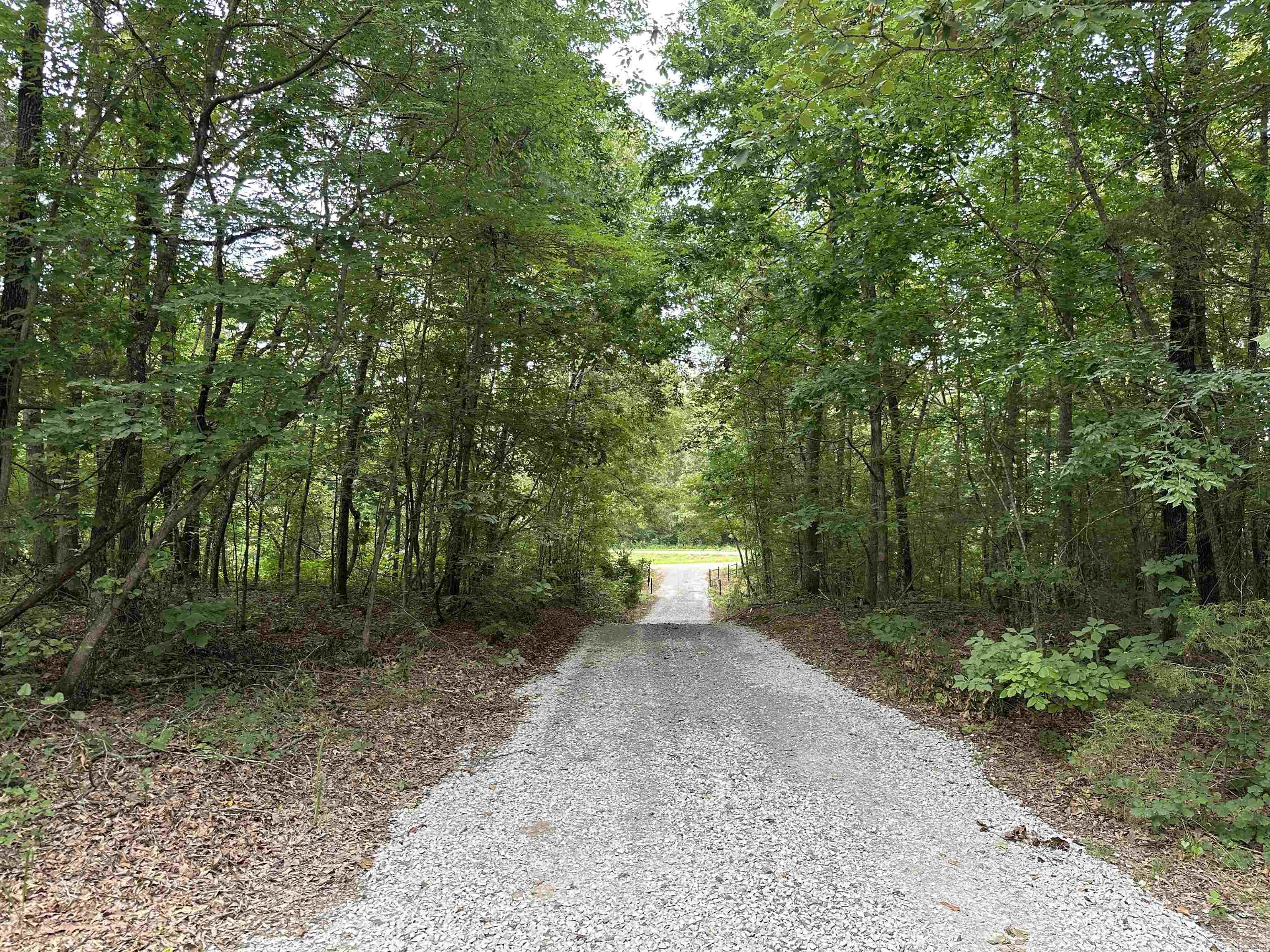 255 Carmichael Rd.  Searcy, AR