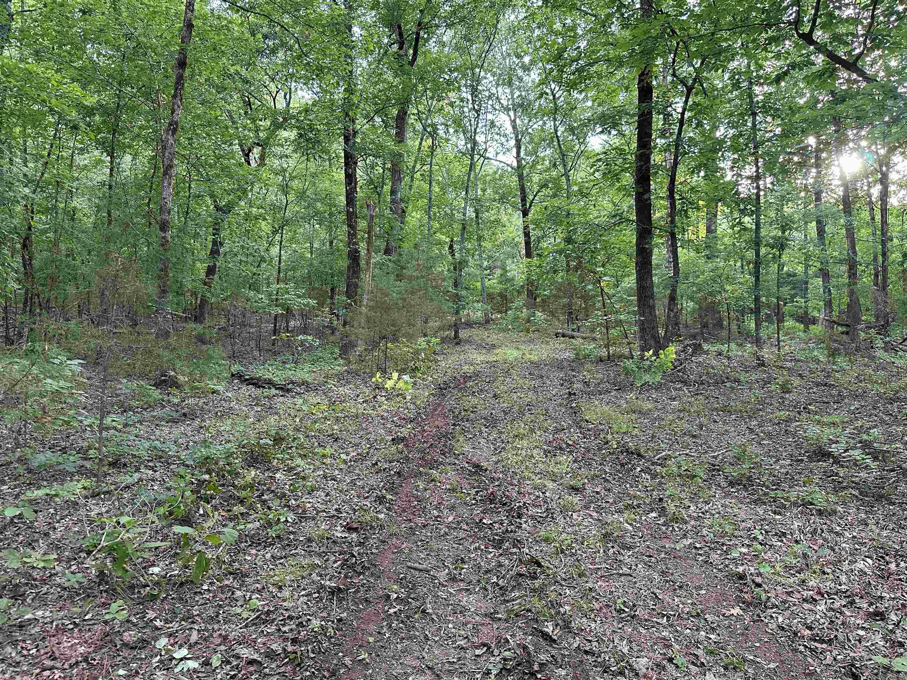 000 Carmichael Rd.  Searcy, AR
